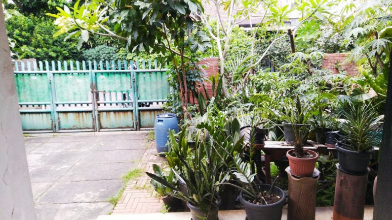 Dijual Rumah Murah Di Jl Kesehatan, Bintaro Jakarta Selatan