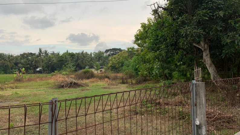 TANAH PEKARANGAN 1979 METER PERSEGI, DI JL RAYA WATES-YOGYA DEKAT BANDARA YIA