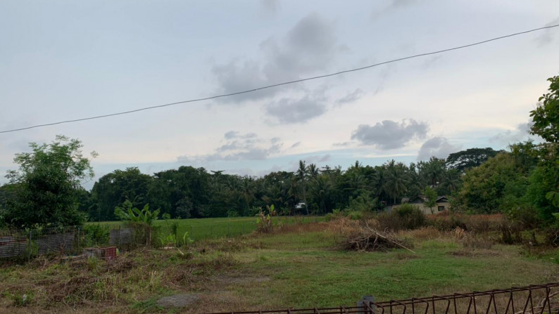 TANAH PEKARANGAN 1979 METER PERSEGI, DI JL RAYA WATES-YOGYA DEKAT BANDARA YIA
