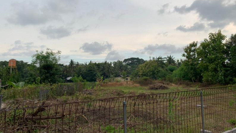 TANAH PEKARANGAN 1979 METER PERSEGI, DI JL RAYA WATES-YOGYA DEKAT BANDARA YIA