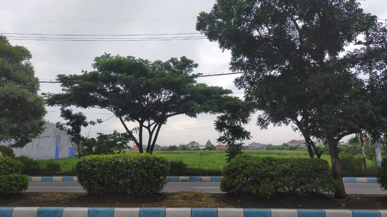 Dijual Tanah Sawah, By Pass Juanda