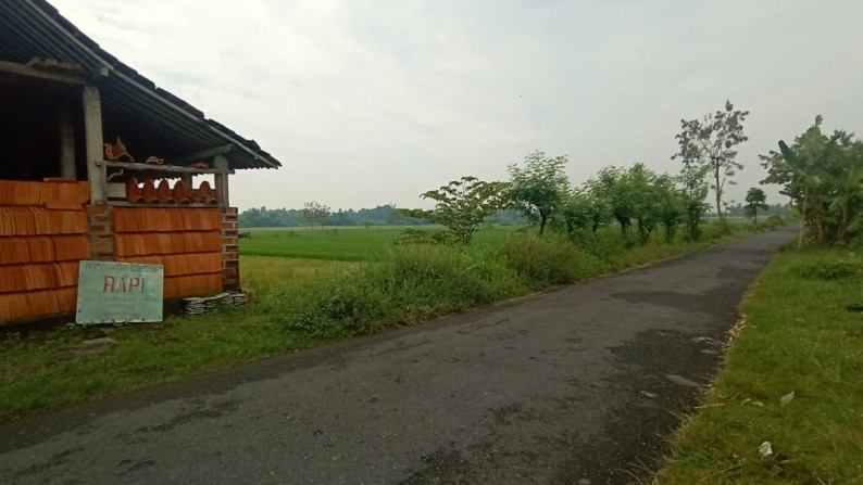 TANAH SAWAH SELUAS 1001 METER PERSEGI, DI SIDOLUHUR, GODEAN, SLEMAN