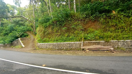 TANAH PEKARANGAN 1242 METER PERSEGI, DI TEGANING II, KULON PROGO