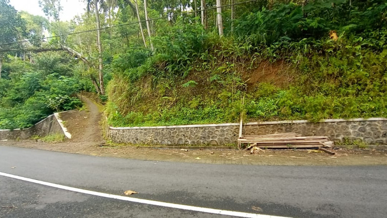 TANAH PEKARANGAN 1242 METER PERSEGI, DI TEGANING II, KULON PROGO