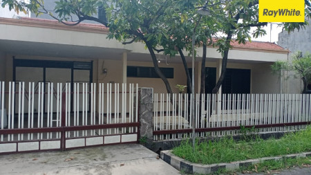 Disewakan Rumah Siap Huni di Jln Gayungsari, Surabaya