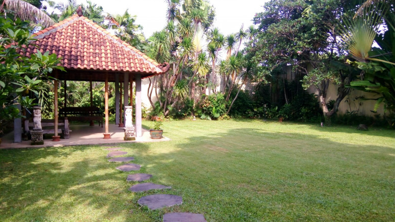 Beautiful house in Kemang with huge Backyard