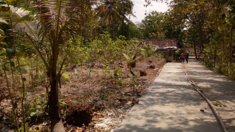 TANAH SELUAS 682 METER PERSEGI, DI PUNDONG, BANTUL