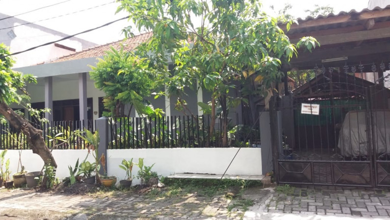Rumah Dijual Ketintang Baru Surabaya