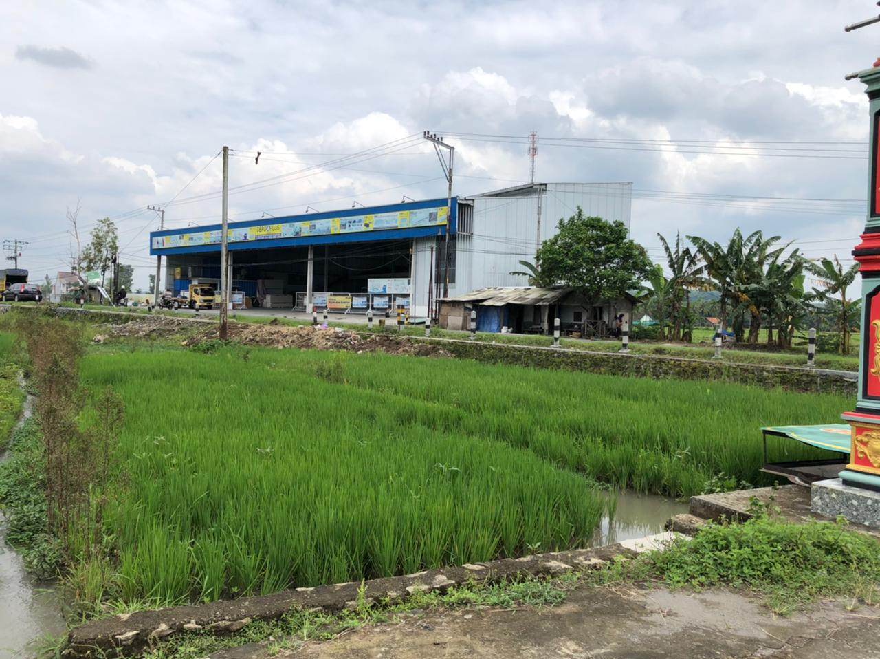 TANAH SAWAH SELUAS 171 METER PERSEGI, DI JL RAYA WATES - YOGYAKARTA KM 12