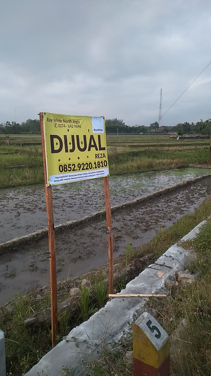 TANAH SAWAH SELUAS 171 METER PERSEGI, DI JL RAYA WATES - YOGYAKARTA KM 12