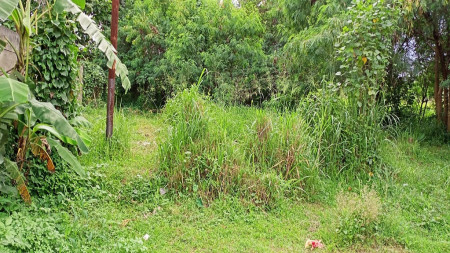 Tanah Murah Bawah NJOP - Babakan Bogor Tengah