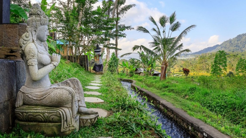 Freehold Villa which is located on the outskirts of a small Balinese Village