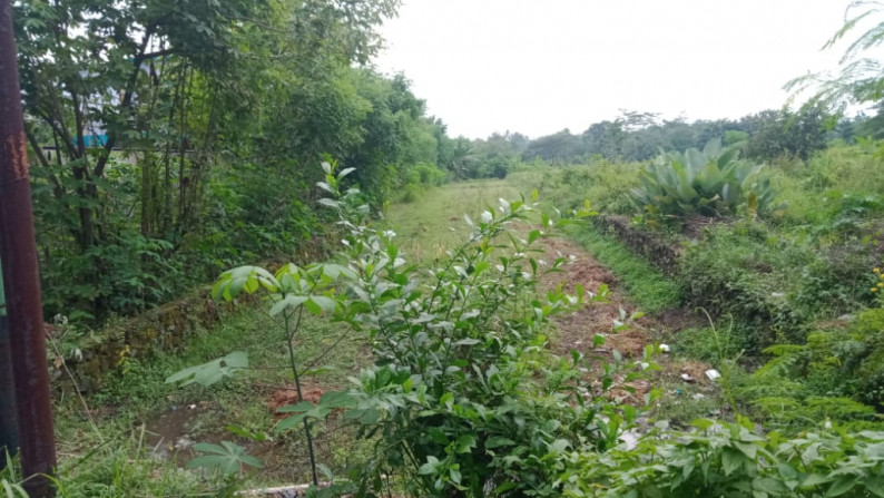 TANAH SAWAH SELUAS 770 METER PERSEGI,DI JL RAYA SOLO - YOGYAKARTA