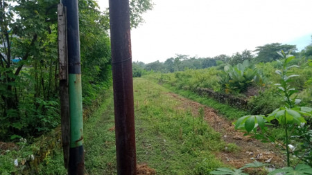 TANAH SAWAH SELUAS 770 METER PERSEGI,DI JL RAYA SOLO - YOGYAKARTA