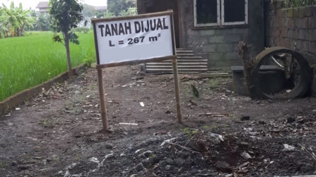 TANAH SELUAS 267 METER PERSEGI, DI DEMAK IJO, RINGROAD BARAT