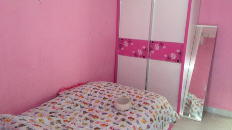 Rumah Taman di Bintaro 9