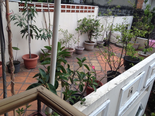 RUMAH LUAS DAN NYAMAN DI CAMAR BINTARO JAYA SEKTOR 3