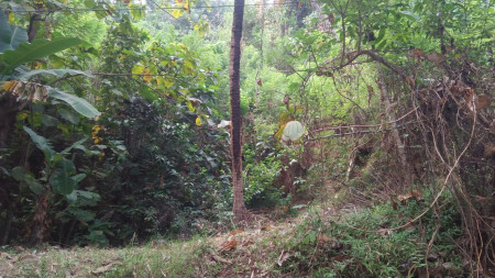 TANAH PEKARANGAN SELUAS 1957 METER PERSEGI, DI JL WONOSARI-YOGYAKARTA