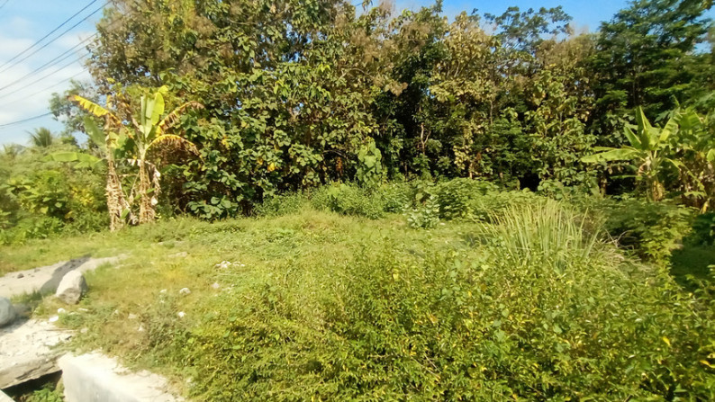 TANAH PEKARANGAN SELUAS 1127 METER PERSEGI, DI JL WONOSARI-WONOGIRI, GK