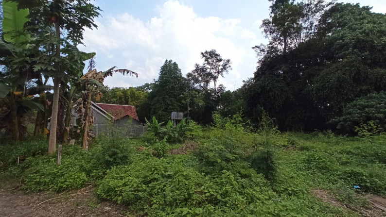 TANAH  SELUAS 443 METER PERSEGI, DALAM PERUMAHAN DEKAT JL KALIURANG KM 11.