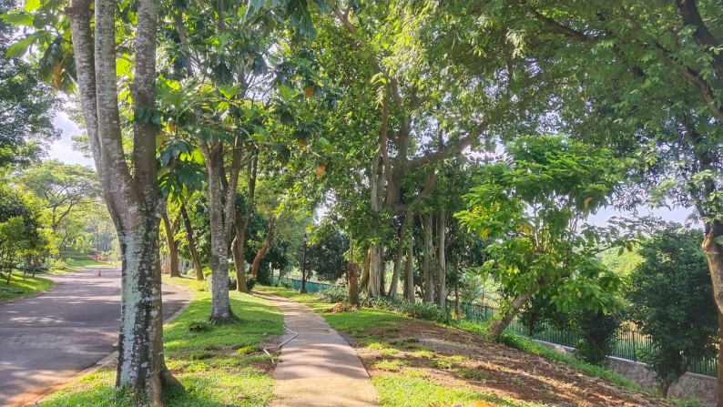 Rumah area golf Victoria river park