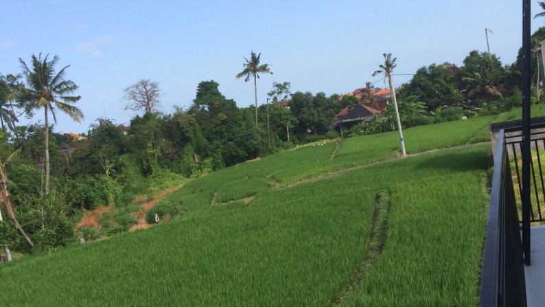 Rumah Minimalis, Siap Huni dan Hunian Nyaman @Jl Pondok Indah, Canggu Utara, Kuta