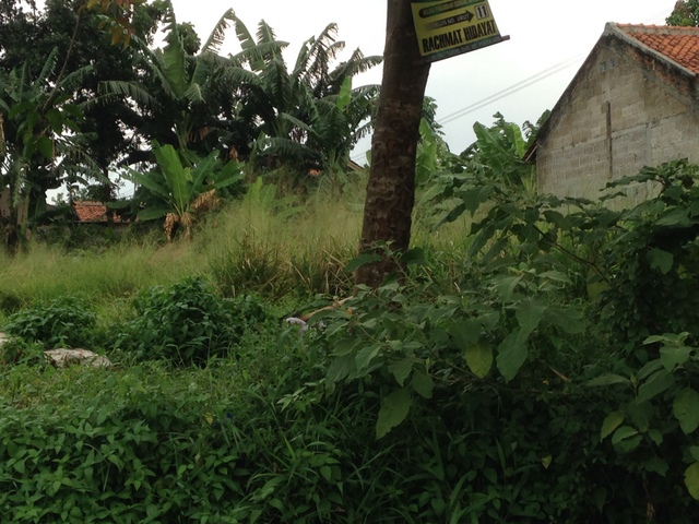 KAVLING DI HAJI SOM BELAKANG SEKOLAH PENABUR BINTARO JAYA SELUAS 868M2 #AN