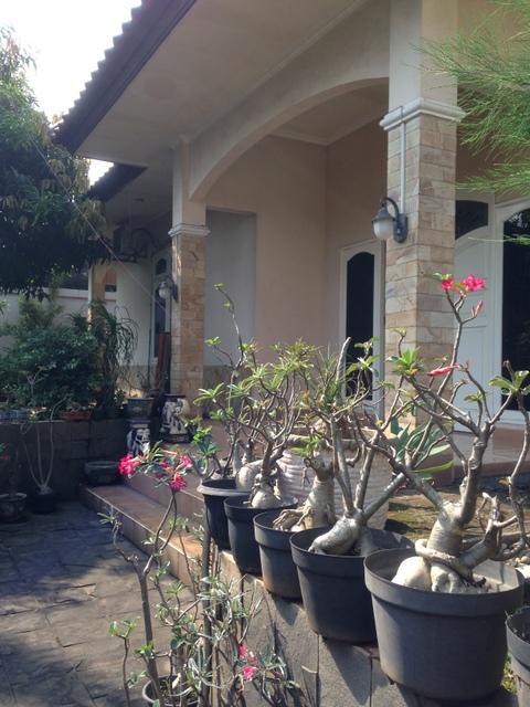 RUMAH LUAS DI PONDOK JAYA SEKTOR 5 #AN