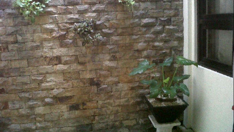 RUMAH MUNGIL DI CUCUR BINTARO JAYA SEKTOR 4 #ANN