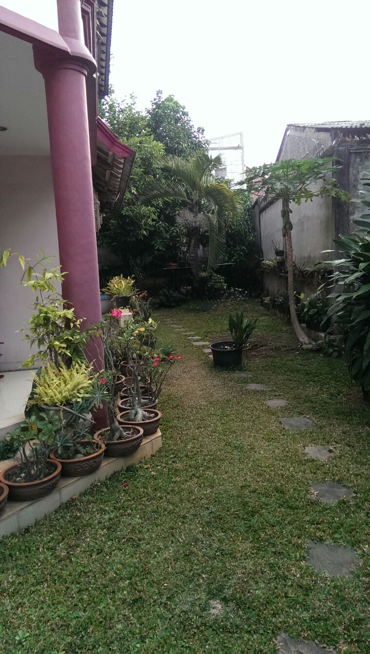 RUMAH LUAS DI PLADEN BINTARO #ANN