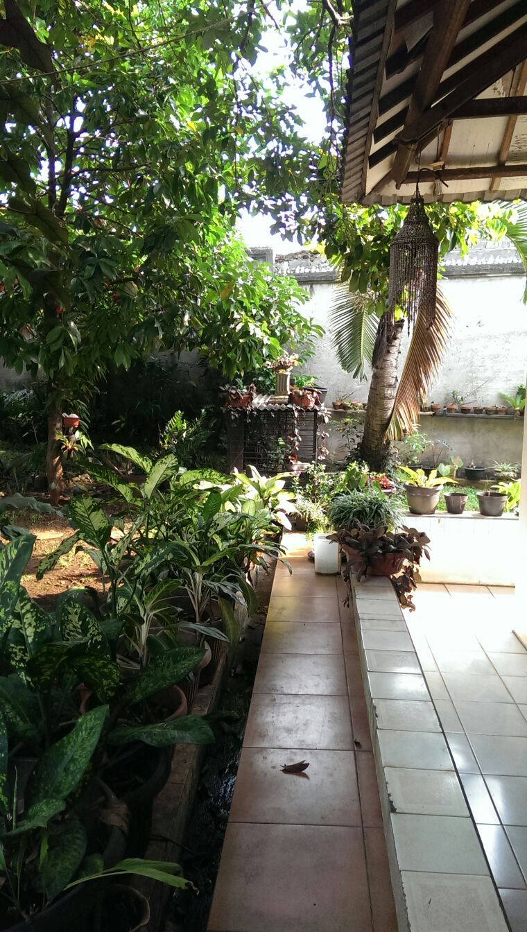 RUMAH LUAS DI PLADEN BINTARO #ANN