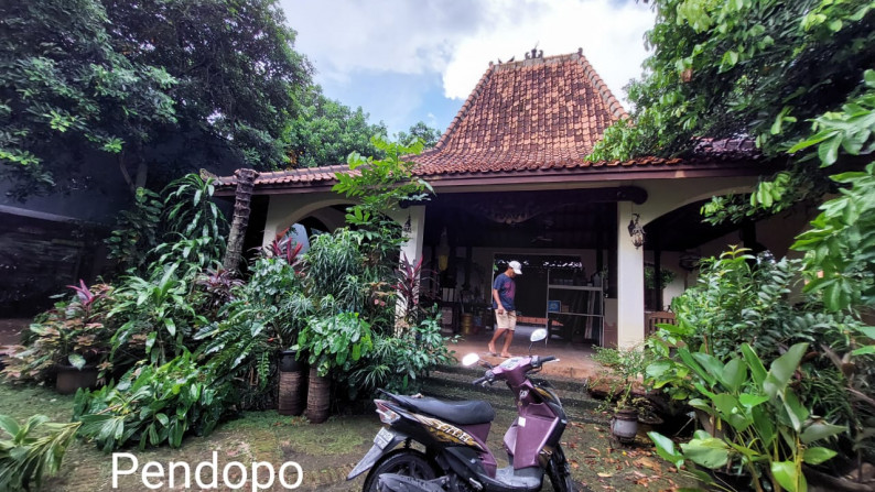 Rumah besar,siap huni di Bintaro Jaya 9