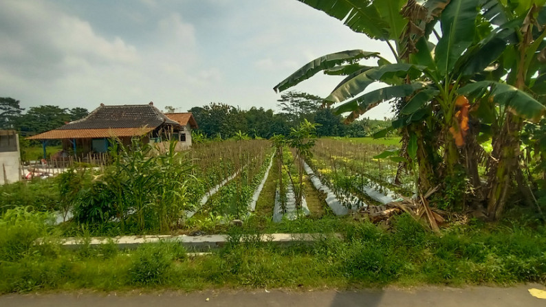 TANAH SAWAH 1952 METER PERSEGI DI JL KEBON AGUNG, SLEMAN