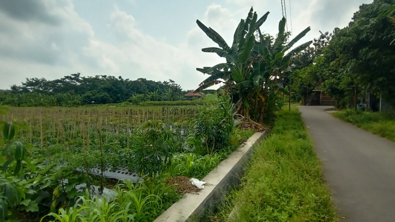 TANAH SAWAH 1952 METER PERSEGI DI JL KEBON AGUNG, SLEMAN