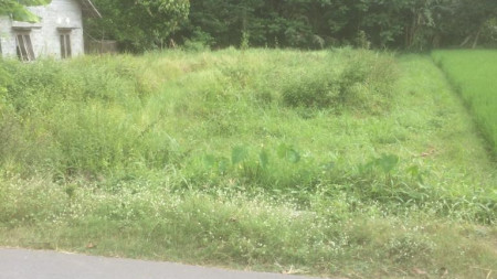 TANAH SELUAS 500 METER PERSEGI, DI JL RAYA SOLO-YOGYAKARTA