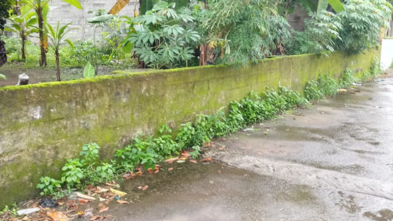 TANAH SELUAS 4801 DI JL RAYA SOLO - YOGYAKARTA
