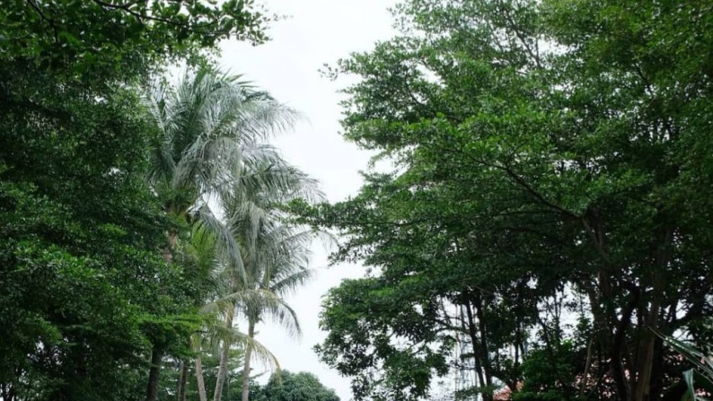 Rumah Ex Resort Di Tanah Baru, Bogor Utara