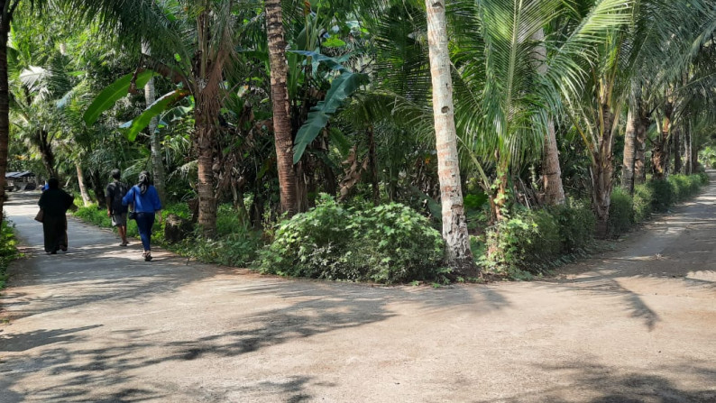 TANAH PEKARANGAN SELUAS 756 METER PERSEGI, DI JL DEANDLES, KULONPROGO