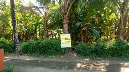 TANAH PEKARANGAN SELUAS 756 METER PERSEGI, DI JL DEANDLES, KULONPROGO