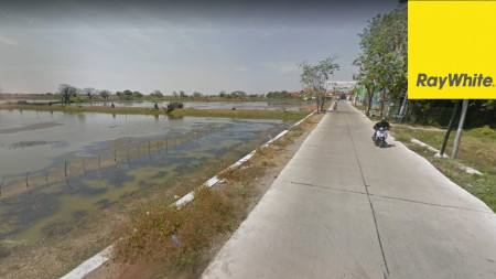 Dijual Tanah SHM Cocok Untuk Perumahan di Jalan Raya Damarsih