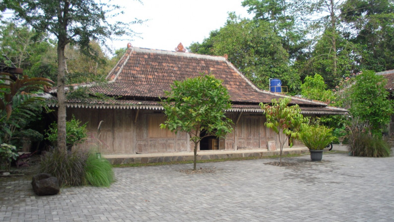 Rumah Limasan Jawa dekat Tebing Breksi dan Candi Boko Jogja