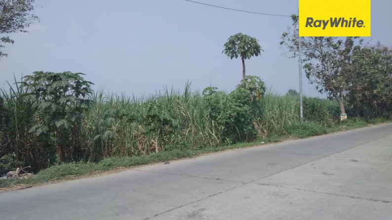 Dijual Tanah di Desa Kejagan, Dusun Sidomulyo, Mojokerto