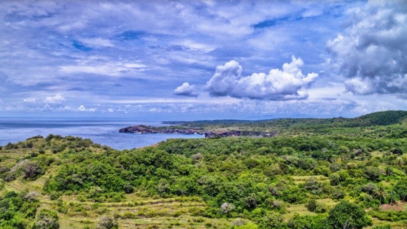 Kavling cocok untuk resort pemandangan indah di bali