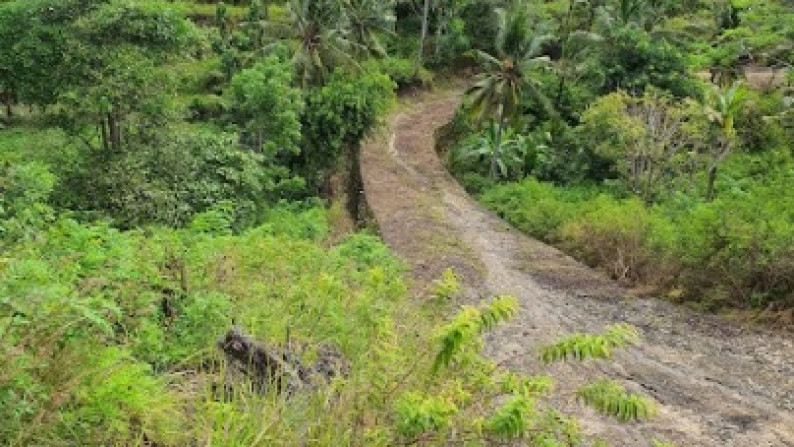 Kavling sejuk pemandangan indah di bali