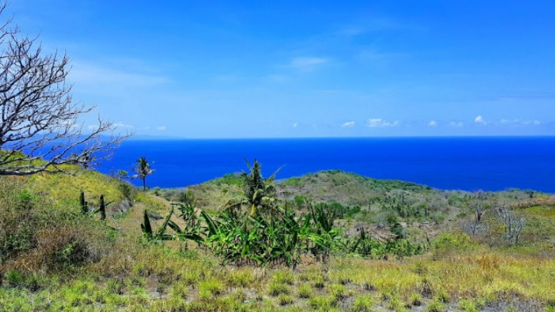 Kavling sejuk pemandangan indah di bali