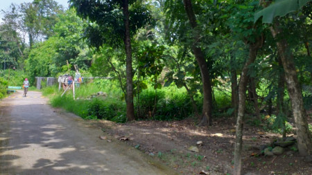 TANAH SELUAS 543 METER PERSEGI, DIBOKOHARJO, PRAMBANAN, SLEMAN