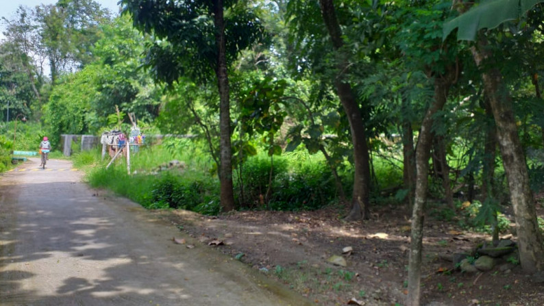 TANAH SELUAS 543 METER PERSEGI, DIBOKOHARJO, PRAMBANAN, SLEMAN