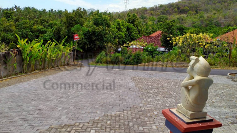 Villa 12 unit & hotel Lovina Ecolodge Buleleng Bali Harga Miring