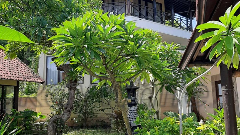 Villa 12 unit & hotel Lovina Ecolodge Buleleng Bali Harga Miring