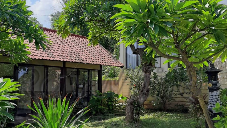 Villa 12 unit & hotel Lovina Ecolodge Buleleng Bali Harga Miring